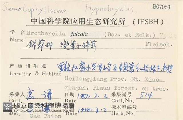 登錄號:B00007063藏品圖，第2張