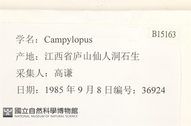 登錄號:B00015163藏品圖，第2張