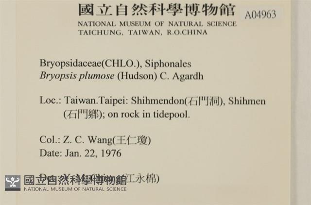 登錄號:A00004963藏品圖，第2張