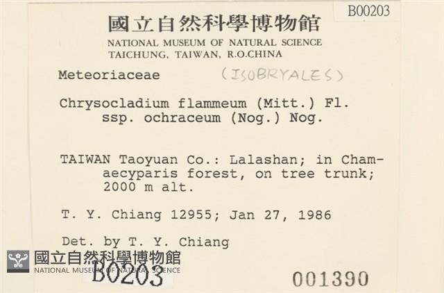 登錄號:B00000203藏品圖，第2張