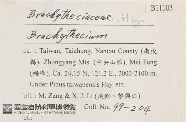 登錄號:B00011103藏品圖，第2張