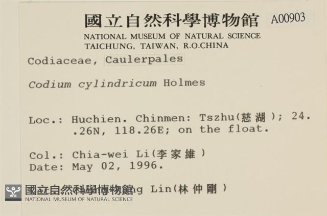 登錄號:A00000903藏品圖，第2張
