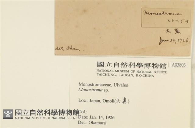 登錄號:A00003803藏品圖，第2張