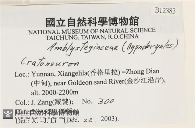 登錄號:B00012383藏品圖，第2張