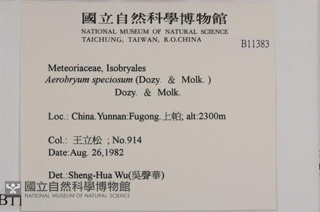 登錄號:B00011383藏品圖，第2張