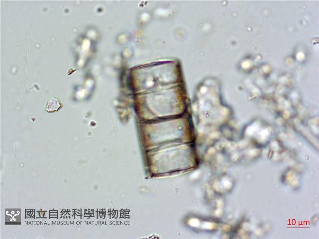 登錄號:A00004672藏品圖，第14張