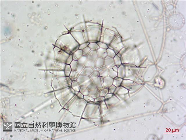 登錄號:A00004653藏品圖，第14張