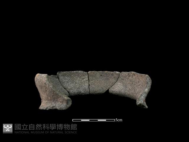 陶罐藏品圖，第4張