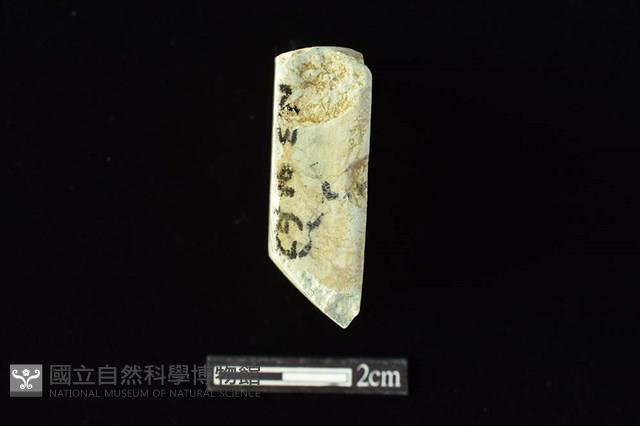 錛鑿形器藏品圖，第4張