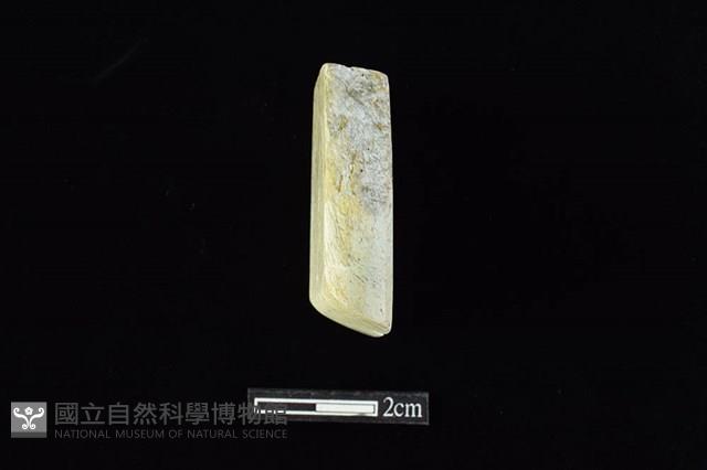 錛鑿形器藏品圖，第4張