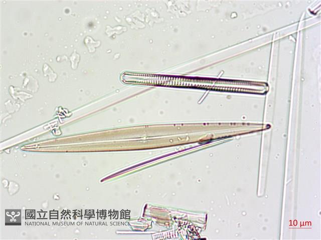 登錄號:A00004632藏品圖，第9張