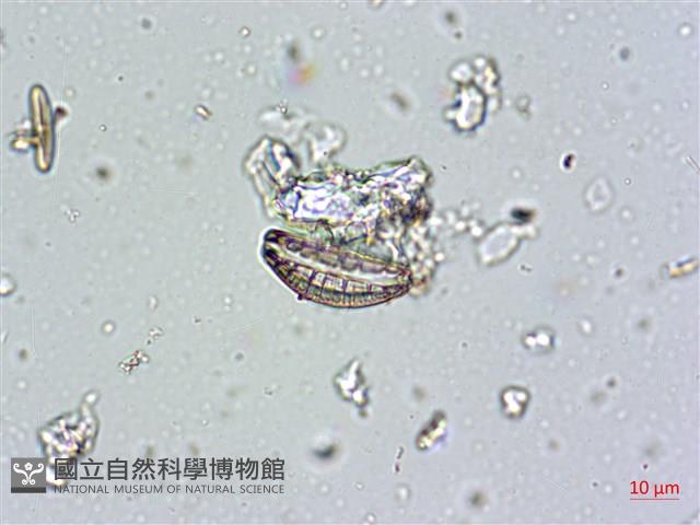 登錄號:A00004672藏品圖，第9張