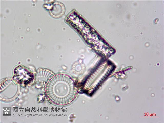 登錄號:A00004612藏品圖，第9張