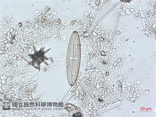 登錄號:A00004492藏品圖，第6張