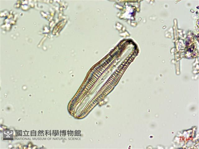 登錄號:A00004662藏品圖，第6張