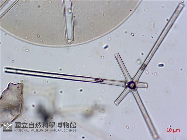 登錄號:A00004658藏品圖，第9張