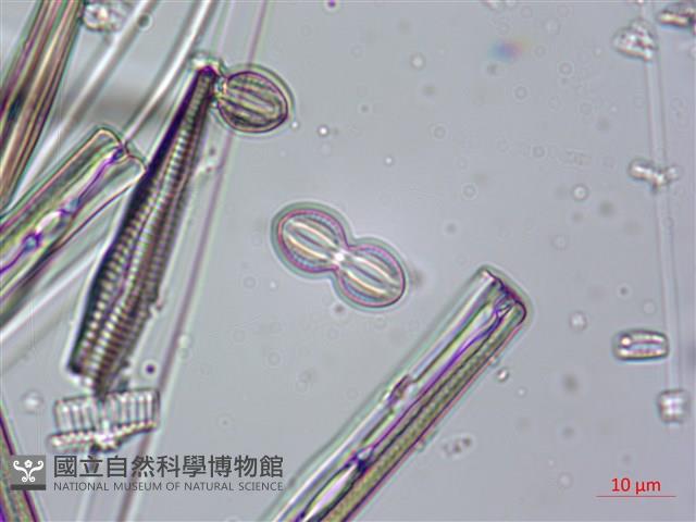 登錄號:A00004634藏品圖，第9張