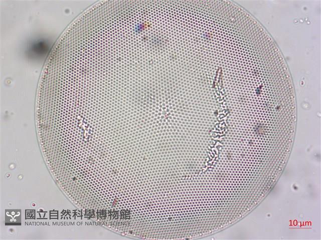 登錄號:A00004654藏品圖，第9張