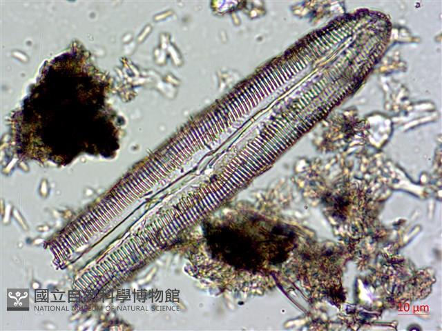 登錄號:A00004674藏品圖，第9張