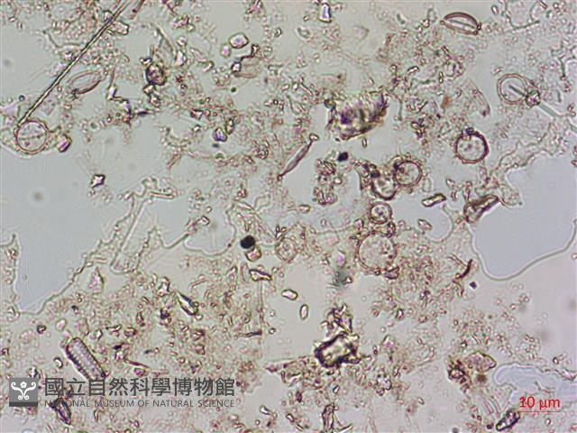 登錄號:A00004594藏品圖，第6張