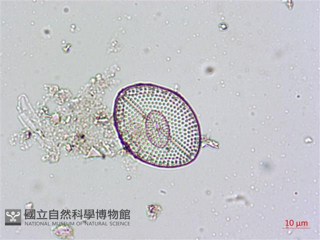 登錄號:A00004484藏品圖，第6張