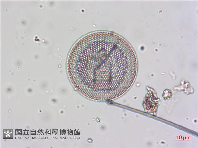 登錄號:A00004657藏品圖，第9張