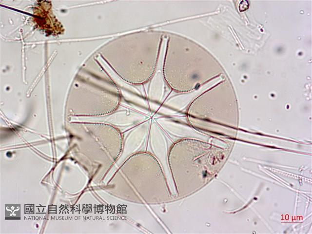 登錄號:A00004655藏品圖，第8張