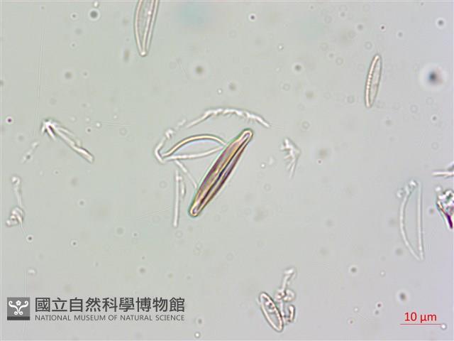 登錄號:A00004675藏品圖，第9張