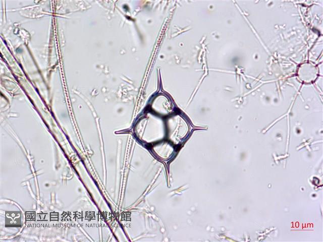 登錄號:A00004651藏品圖，第9張