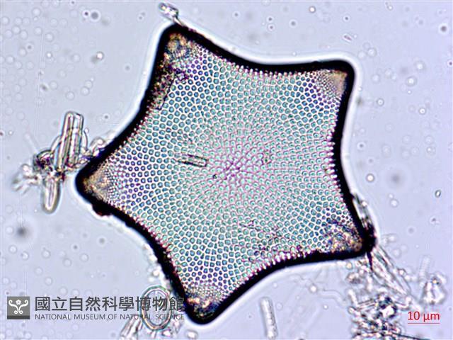 登錄號:A00004551藏品圖，第6張