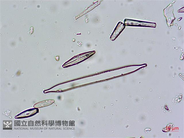 登錄號:A00004671藏品圖，第6張