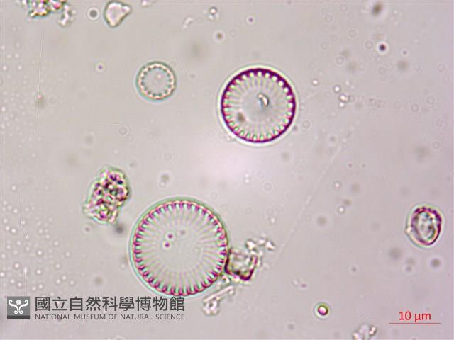 登錄號:A00004611藏品圖，第9張