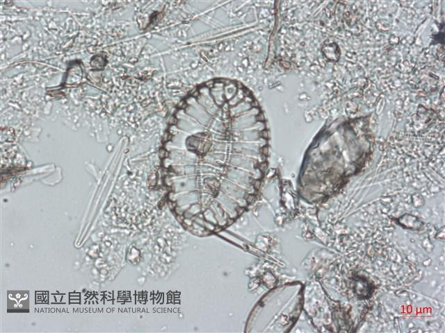 登錄號:A00004491藏品圖，第6張