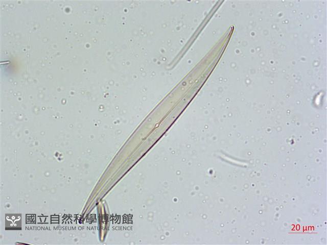 登錄號:A00004641藏品圖，第6張