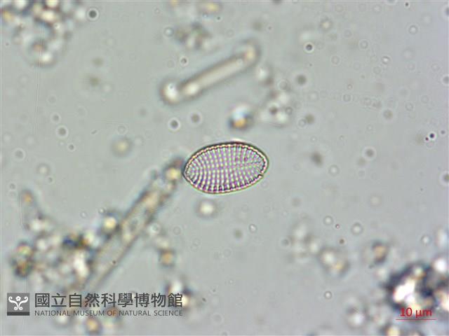 登錄號:A00004541藏品圖，第6張