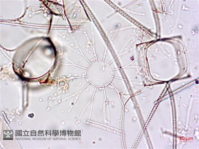 登錄號:A00004650藏品圖，第6張