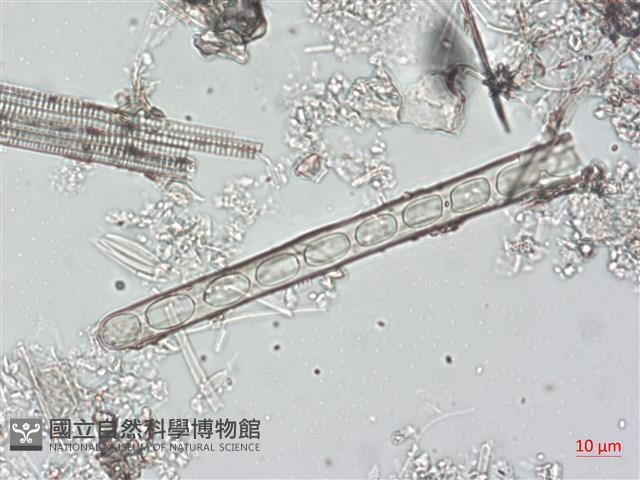 登錄號:A00004490藏品圖，第6張