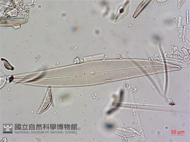 登錄號:A00004640藏品圖，第6張