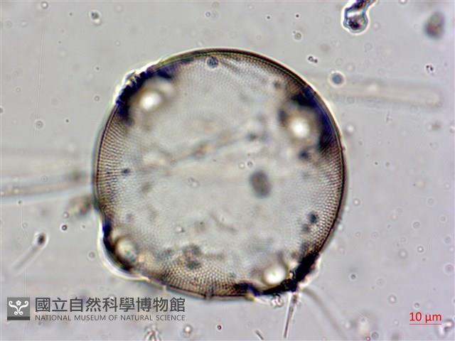 登錄號:A00004560藏品圖，第6張