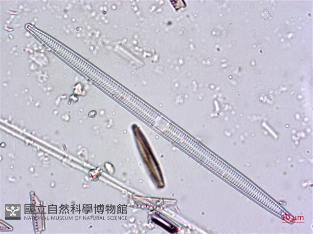 登錄號:A00004480藏品圖，第6張