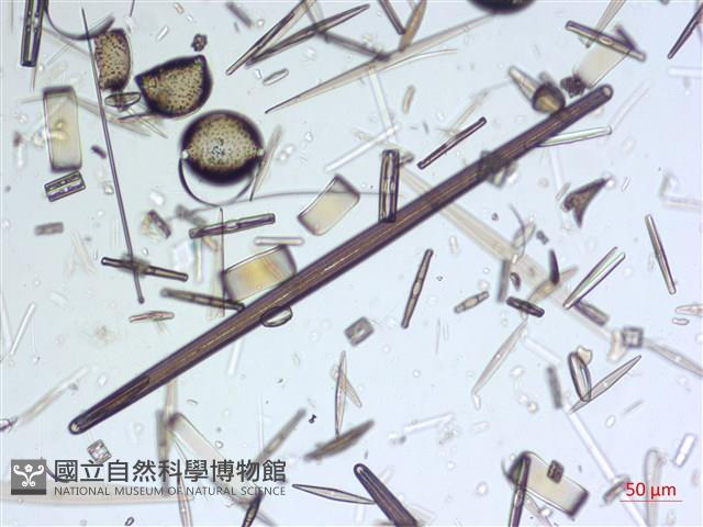 登錄號:A00004633藏品圖，第9張