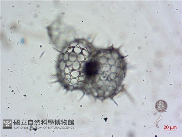 登錄號:A00004653藏品圖，第9張