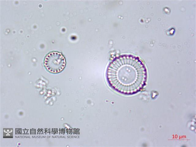 登錄號:A00004613藏品圖，第9張