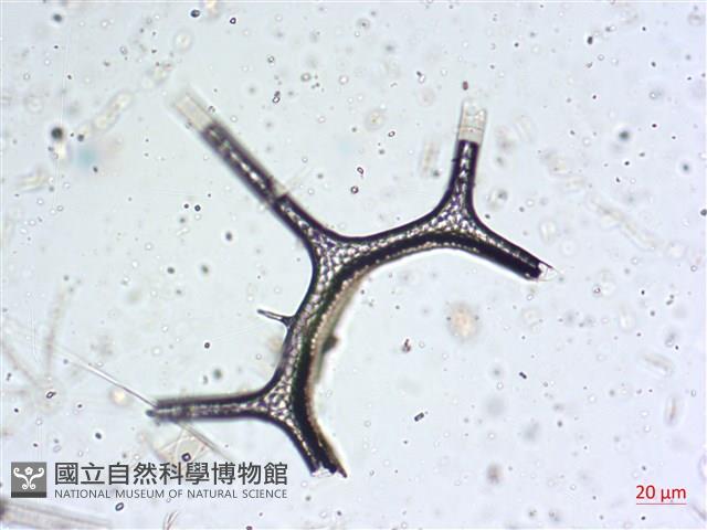 登錄號:A00004653藏品圖，第19張