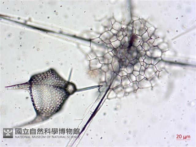 登錄號:A00004655藏品圖，第22張