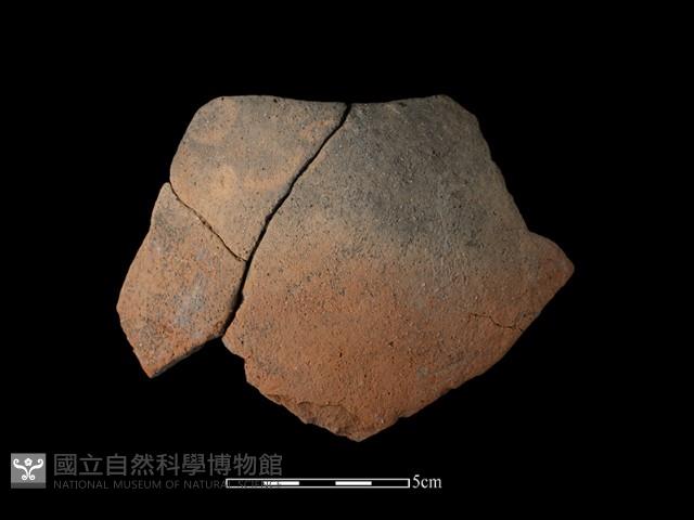 陶片藏品圖，第1張