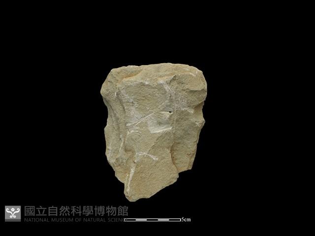 斧鋤形器藏品圖，第1張