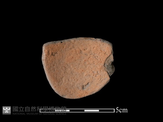 陶片藏品圖，第1張