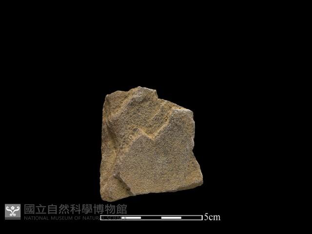 斧鋤形器藏品圖，第2張