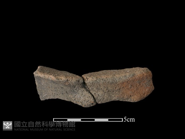 陶罐藏品圖，第2張